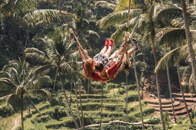Bali Airport Transfer with English Speaking Driver - Where the Car Can Take You: Ubud, Beaches, Denpasar, and Northern Bali
