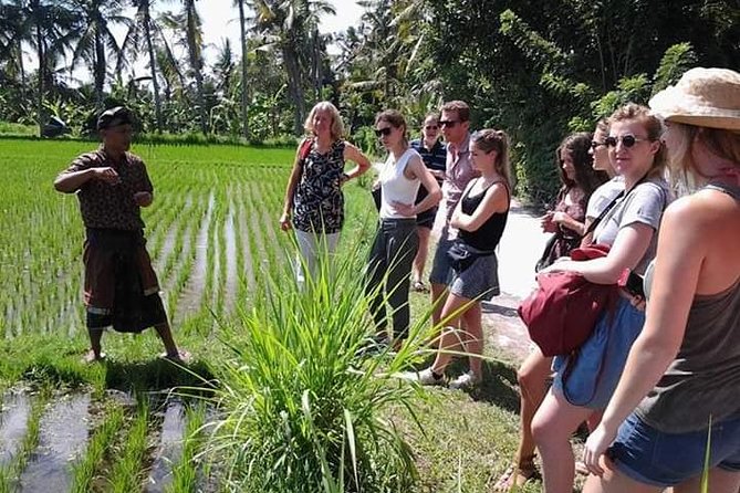 Bali Amazing Cooking Class - Who this Balinese cooking class is best for