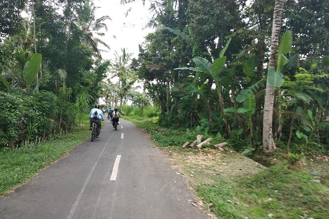 Bali Amazing Cycling Tour - Rice terraces and coffee processing, the Bali you can actually watch