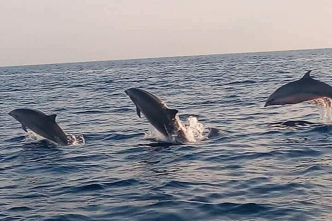 Bali and Lovina with Sunrise Dolphin Tour and Snorkeling - Lovina Dolphin Sunrise: What the Early Morning Really Gives You