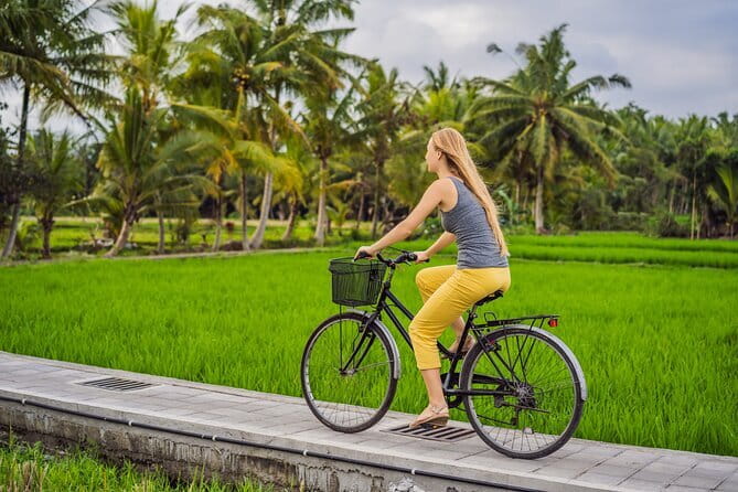 Bali ATV Bike Cave and waterfall with hotel Pick Up And Lunch - Rice Paddies: Terraces, Views, and Farming You Can See
