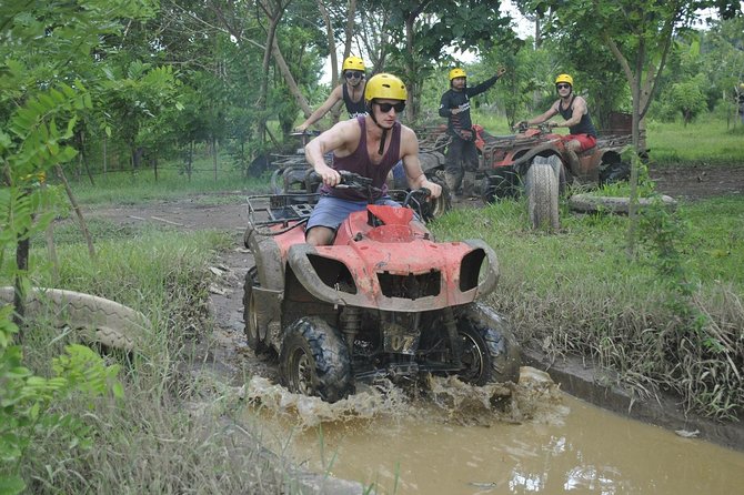 Bali ATV Combined with Mumbul Lake And Sangeh Monkey Forest - Why This Combo Works So Well for a Full Day