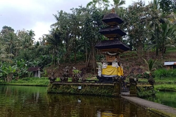 Bali ATV Combined with Mumbul Lake And Sangeh Monkey Forest - Taman Mumbul and Sangeh: The Best Part Is the Balance