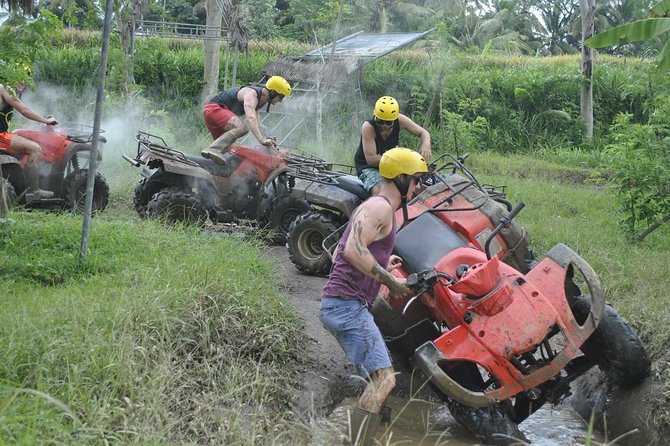 Bali ATV Combined with Mumbul Lake And Sangeh Monkey Forest - Price and What You Get for the Money