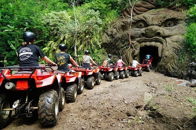 Bali ATV Quad Adventure - Ubud Monkey Forest and Waterfall - Sacred Monkey Forest Sanctuary: monkeys, photos, and how to time it