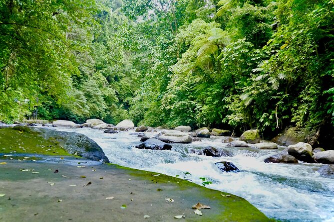 Bali ATV Quad Bike & Ayung River Rafting Combo with Lunch - Lunch, Showers, and Staying Comfortable After You Get Wrecked