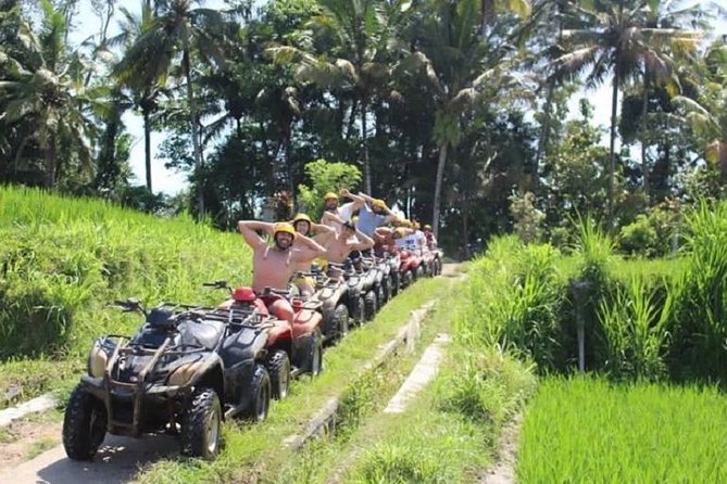 Bali ATV Quad Bike with Monkey Forest and Tegenungan Waterfall - Lunch Included: Set Menu Indonesian Food That Keeps the Day on Track