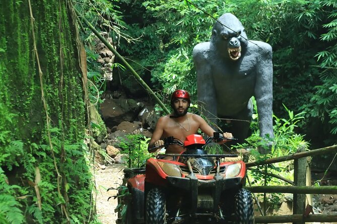 Bali ATV Quad Bike with Ubud Day Tour All Inclusive - Should You Book This Bali ATV Quad Bike Ubud Day Tour?