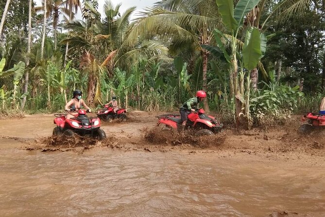 Bali ATV Quadbike Through Gorilla Face Cave - The Off-Road Route: Rice Fields, Jungle Paths, River Crossings, and the Cave Tunnel Exit