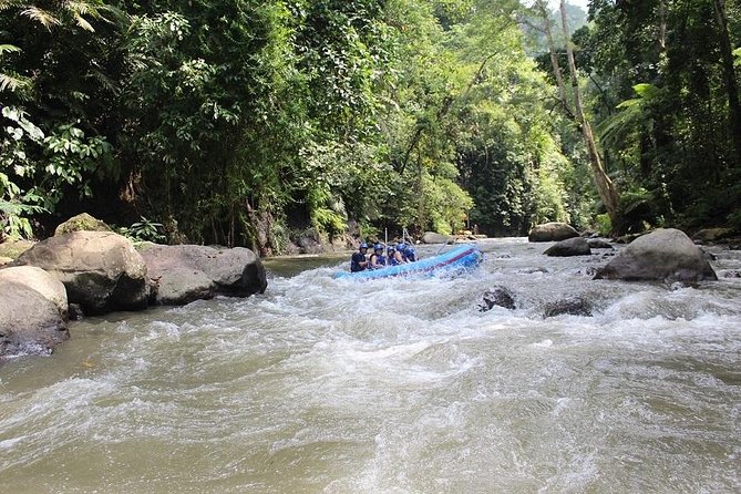 Bali ATV Ride Adventure & White Water Rafting with All-Inclusive - Ayung River Rafting: Beginner-Friendly With Real Stairs to Earn It