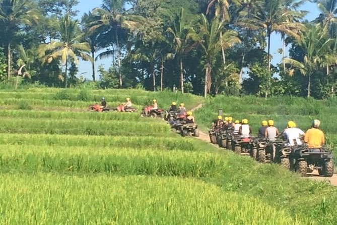 Bali ATV Ride Ubud Jungle Track - What Makes This Ubud ATV Ride Worth the Money