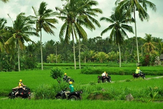 Bali ATV Ride Ubud Jungle Track - Pickup and Timing: How You Avoid the Usual Bali Headaches