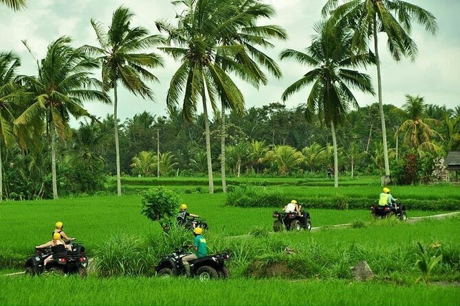Bali ATV Ride waterfall jungle and rice fild track ubud - The 2-hour ATV ride: rice fields, tunnels, and waterfall moments