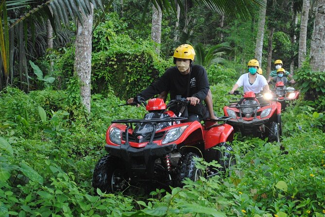 Bali ATV Ride waterfall jungle and rice fild track ubud - Price check: is $39.99 good value in Ubud?
