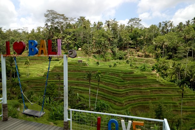Bali ATV Ride with Jungle Swing and Rice Terrace Tour - Walking through Tegalalang Rice Terrace and meeting local farmers