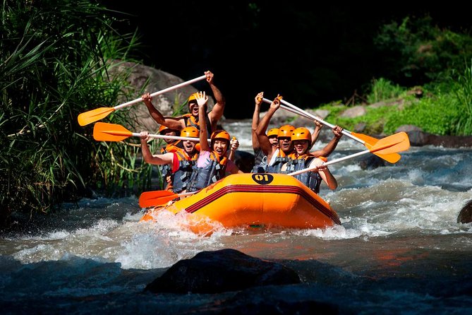 Bali Ayung River White Water Rafting with Transport - Key things to know before you go
