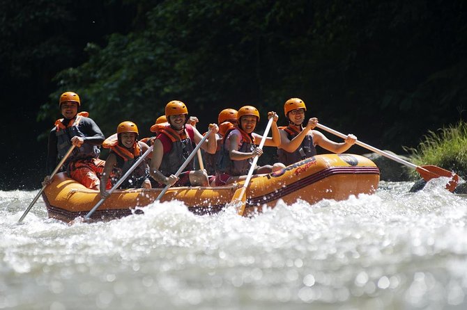 Bali Ayung River White Water Rafting with Transport - Ayung River in Ubud: what the rafting is really like