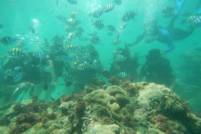 Bali Beaches Hopping - Uluwatu Temple - Geger Beach: a long, swim-friendly break near Nusa Dua