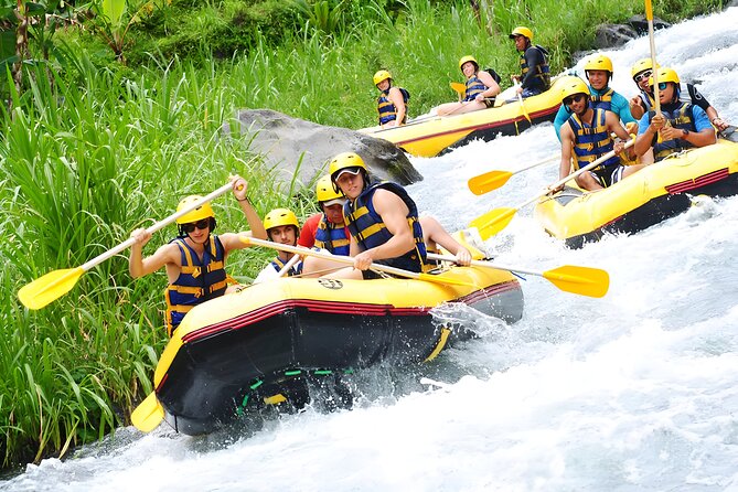 Bali Best-Activities: Telaga Waja Rafting Adventure - Key highlights worth planning for