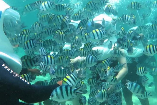 Bali Best Watersport Sea walker,Parasailing adventure,Jet sky - Tanjung Benoa in one morning: Jet Ski, Parasailing, Seawalker