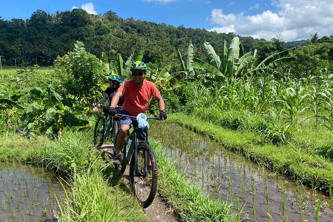 Bali Bike Tour Ubud Area - Ubud Countryside on Quiet Backroads: The Big Appeal