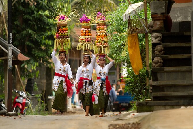 Bali Bike Tour Ubud Area - Petang First Stop: Warming Up With Rice and Mountain Views