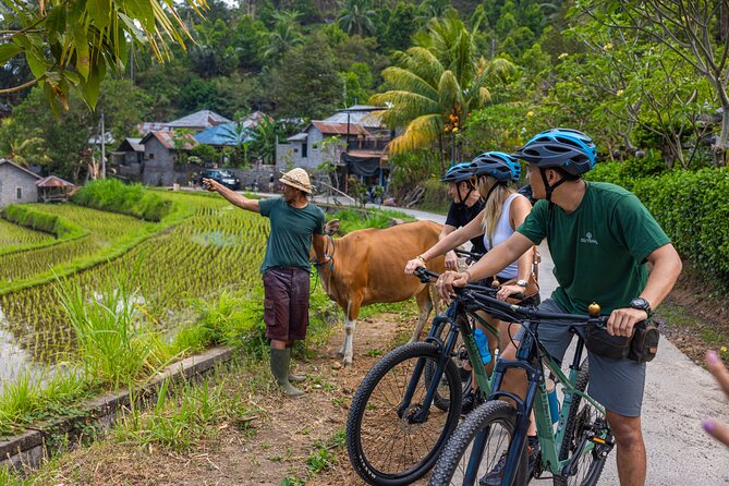 Bali Bike Tour Ubud Area - Who This Tour Fits Best (and Who Might Want Another Option)