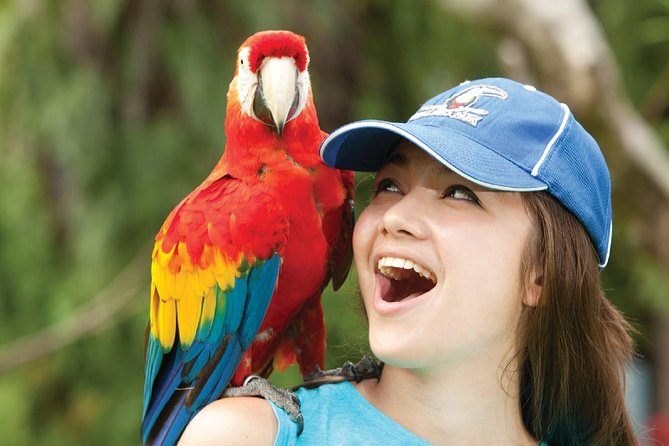 Bali Bird Park Admission Ticket - Entering Bali Bird Park Without Losing Time