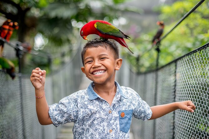 Bali Bird Park Admission Ticket - How to Time Your Visit Around the Daily Bird Shows