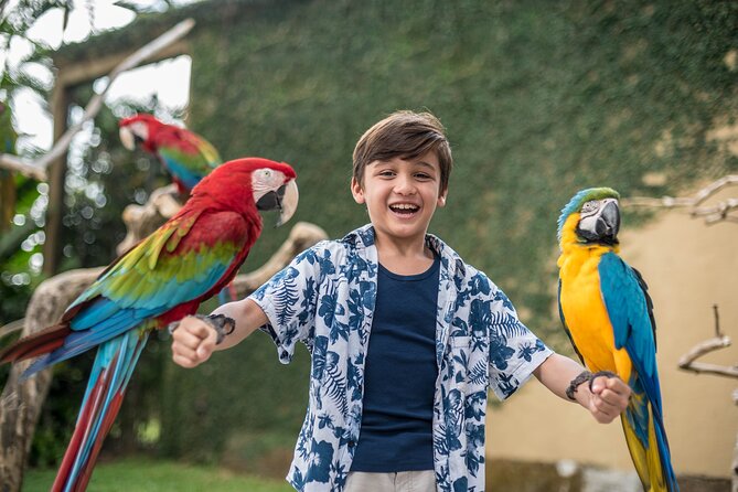 Bali Bird Park Admission Ticket - The Bird Shows: Why Free Flight and Raptors Feel Different