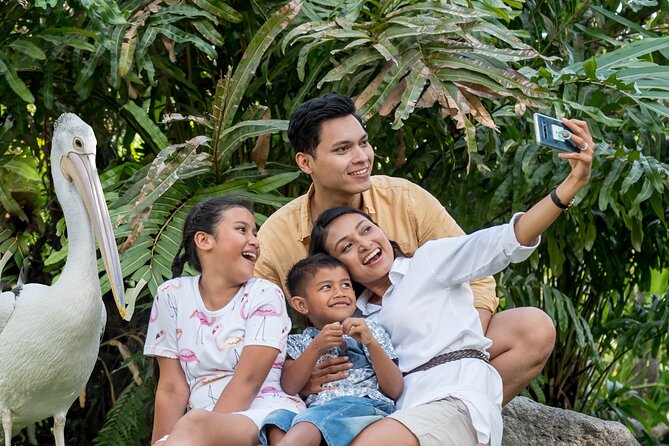 Bali Bird Park Admission Ticket - Seeing More Than One Kind of Bird in Lush Gardens