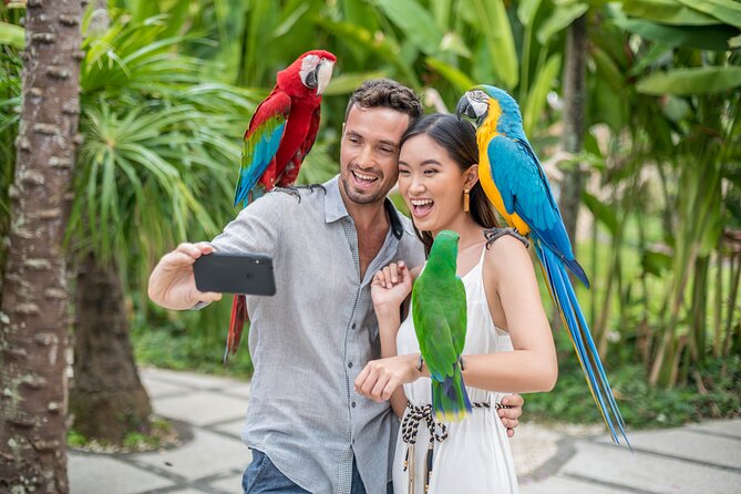 Bali Bird Park Admission Ticket - Families, Bird Lovers, and Realistic Expectations