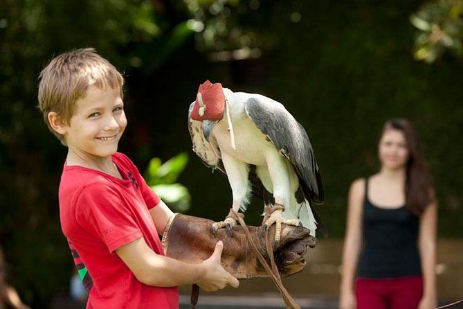 Bali Bird Park Admission Ticket with Hotel Transfer - Bali Bird Park with transfers: what you’re paying for