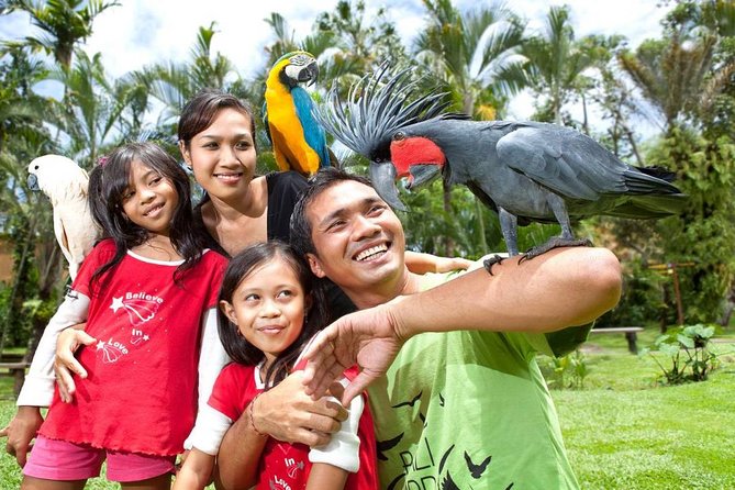 Bali Bird Park Admission Ticket with Hotel Transfer - Picking the right time slot for a 1 to 6 hour visit