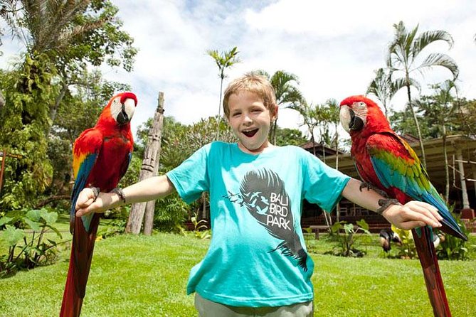 Bali Bird Park Admission Ticket with Hotel Transfer - Bird shows and interactive moments that make the ticket feel full
