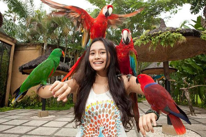 Bali Bird Park Admission Ticket with Hotel Transfer - Getting your photos and staying comfortable