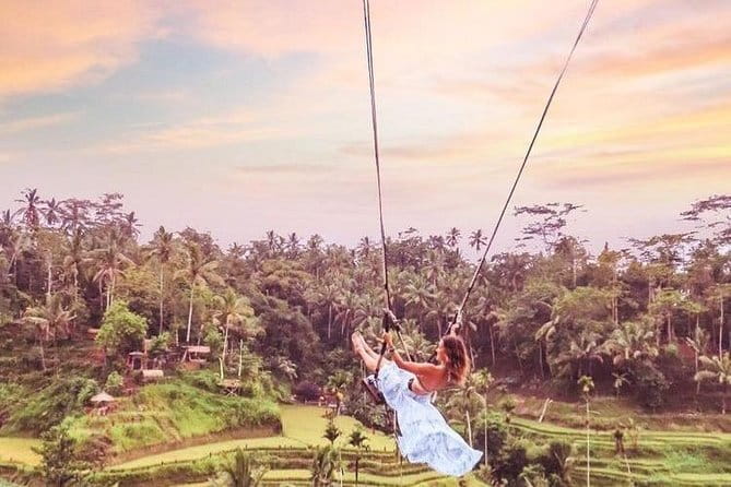 Bali : Blue Lagoon Snorkeling combine with Bali Swing in Ubud - A full day that connects Padang Bai snorkeling with Ubud rice-field photos