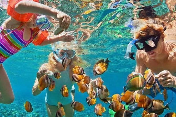 Bali : Blue Lagoon Snorkeling combine with Bali Swing in Ubud - Tanjung Jepun snorkeling: good for beginners and underwater photos