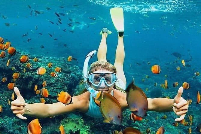 Bali : Blue Lagoon Snorkeling combine with Bali Swing in Ubud - Tegalalang Rice Terrace and the jungle swing: where the big photos happen