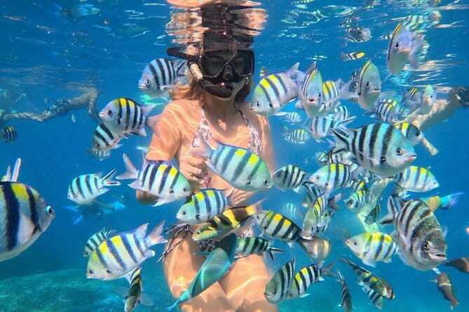 Bali : Blue Lagoon Snorkeling combine with Bali Swing in Ubud - What $70 includes, and why the value feels fair for a full day
