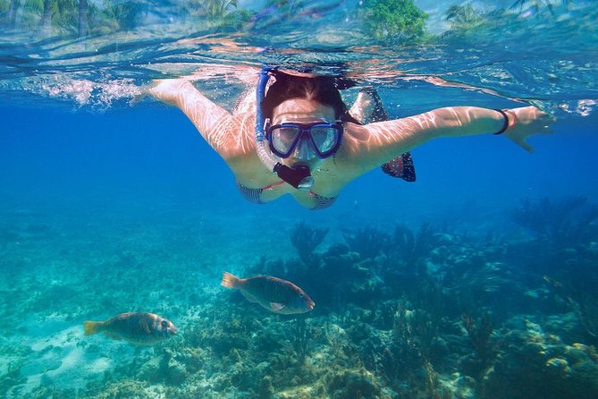 Bali Blue Lagoon Snorkeling Experience - Jukung boat time: the local touch that makes it feel less touristy