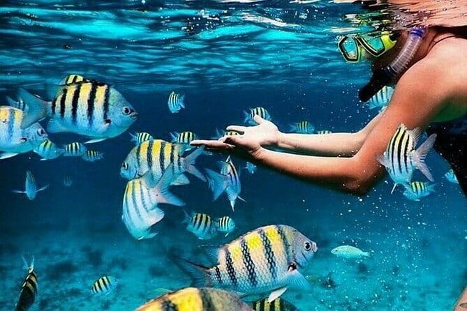 Bali Blue Lagoon Snorkeling with Waterfalls Tour - all included - Key highlights to plan around