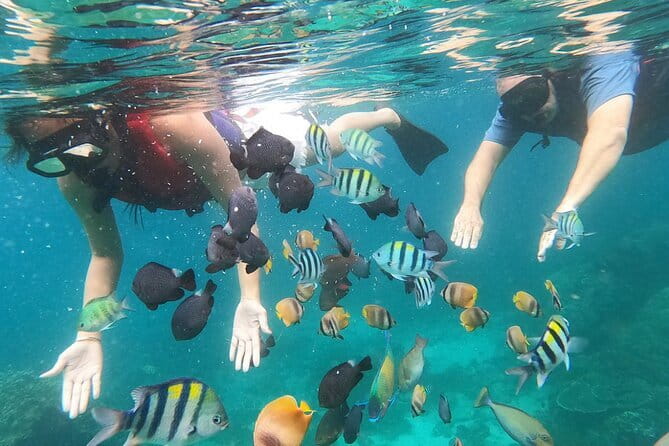 Bali Blue Lagoon Snorkeling with Waterfalls Tour - all included - Taman Sari Waterfall and the natural pool, plus that Instagram-style payoff