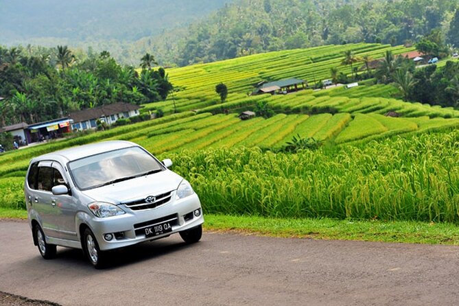 Bali Car Hire with Driver - A realistic one-day route you can build from Ubud