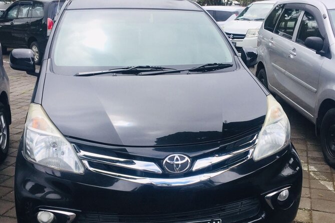 Bali Car Hire with Driver - Who should book this Bali car hire with driver