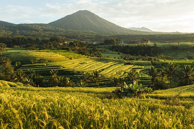 Bali Charm: Full-Day Bedugul and Tanah Lot Tour (UNESCO) - All Inclusive Tickets - Jatiluwih rice terraces: UNESCO meaning, not just a pretty view