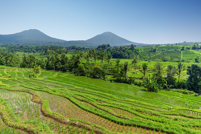 Bali Charm: Full-Day Bedugul and Tanah Lot Tour (UNESCO) - All Inclusive Tickets - How the private guide changes the value of your day