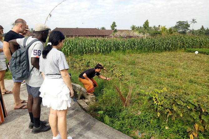 Bali Cooking Class and Ubud Sightseeing Tour - Canting Bali cooking class: you make the menu, end to end