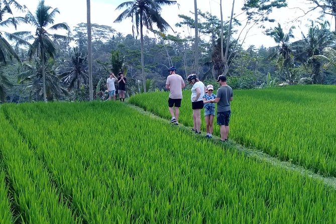 Bali Countryside Cycling Adventure - First You Get Out of Ubud, Then You Actually Feel Bali