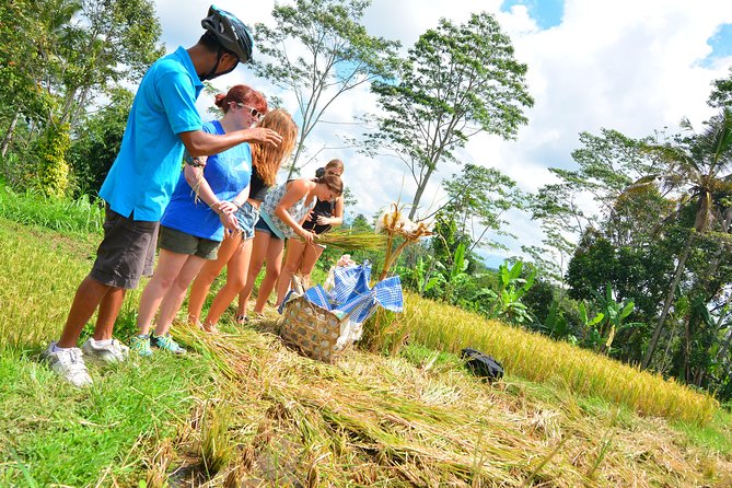 Bali Countryside Cycling Tours - Lunch After the Ride: Indonesian Food, Often in a Local Setting